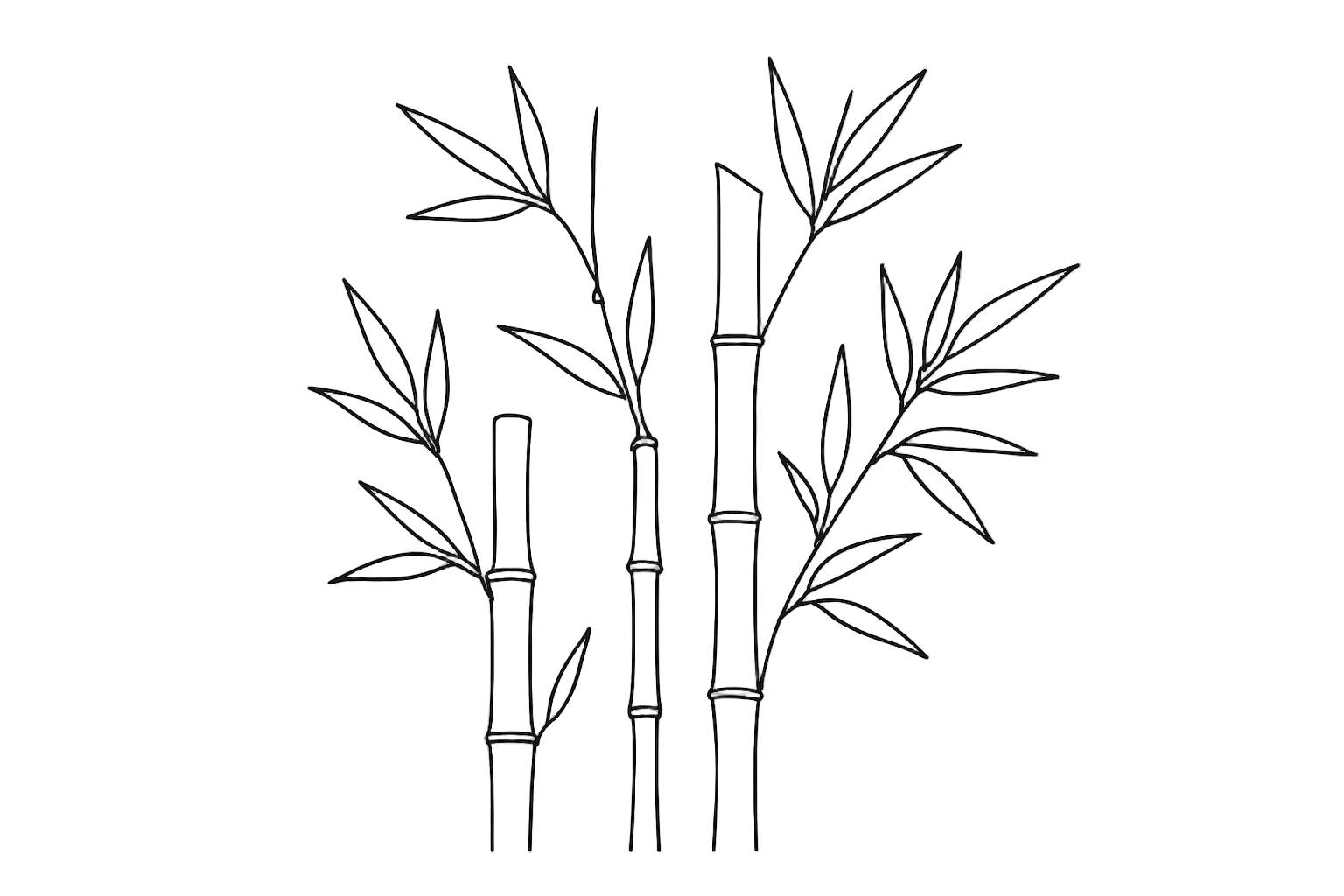 bamboo outline